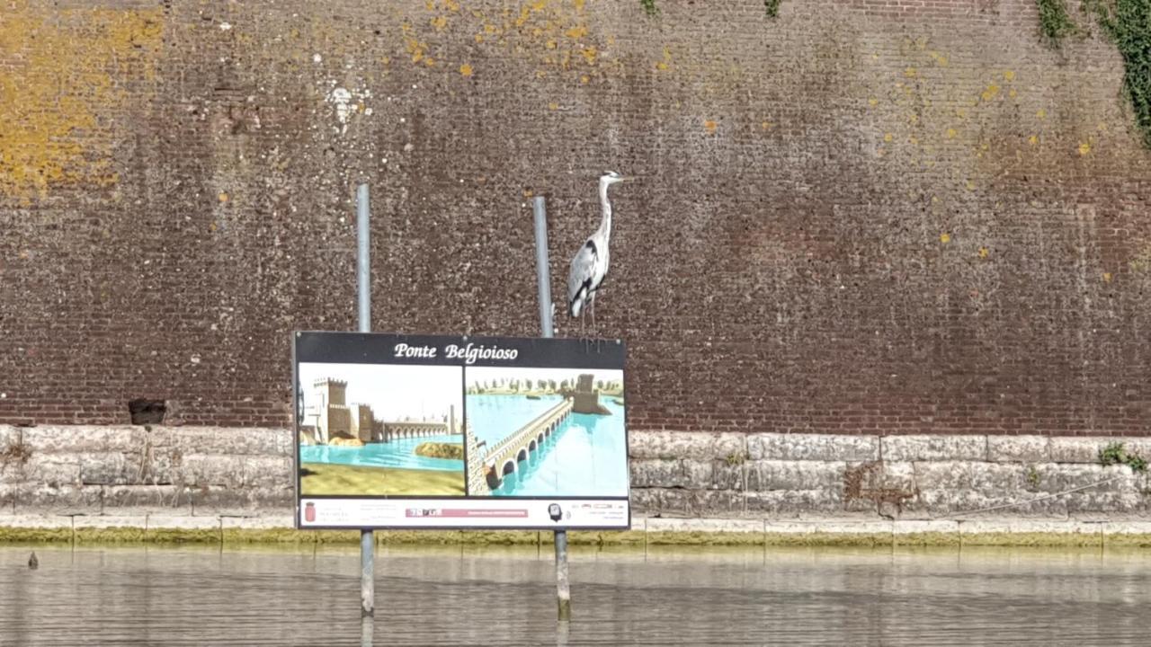 Apartment Casa & Joy Peschiera del Garda